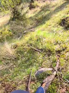 Cam4 Best Webcam of likescock5