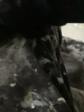 Cam4 Free Live Porn of Socks47