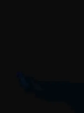 Cam4 Live Porn of potrillo36