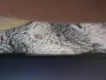 Cam4 Live Sex Cam of Brybaddotcom