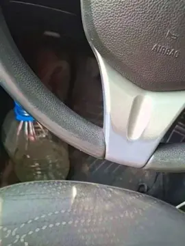 Cam4 Live Porn of Tania__honey