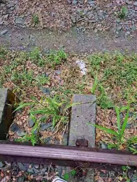 Cam4 Best live sex cam show of Tania__honey