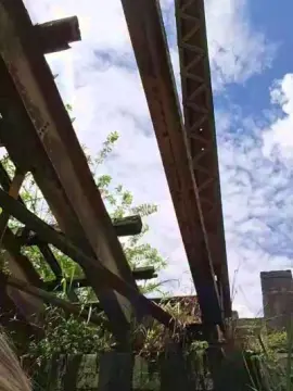 Cam4 Private Sex Chat of Tania__honey