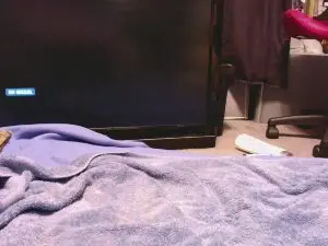 Cam4 Sex Chat of SpunAoneD