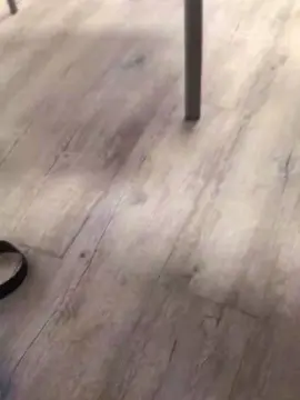 Cam4 Adult Webcams of HairyFrenchcock