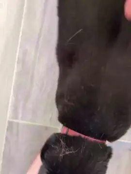 Cam4 Live Porn of HairyFrenchcock