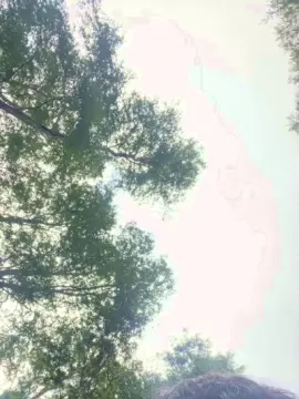 Cam4 Private Sex Chat of fuenzaaaaa