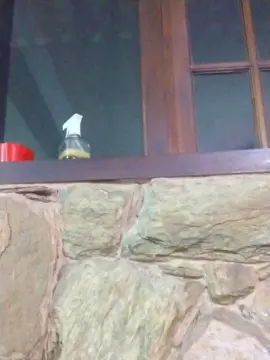 Cam4 Adult Video Chat of daniel3525