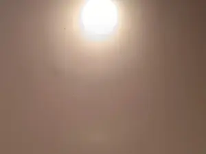 Cam4 Best live sex cam show of weed_whacker