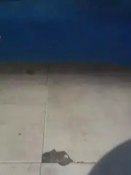 Cam4 Watch Live Sex Cams of mimi681