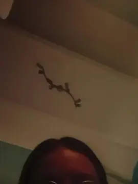 Cam4 Live Porn of cruellathebills