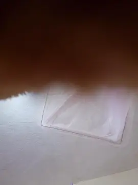 Cam4 Adult Webcam of leilane35