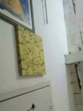 Cam4 Sex Cam of novdotado22