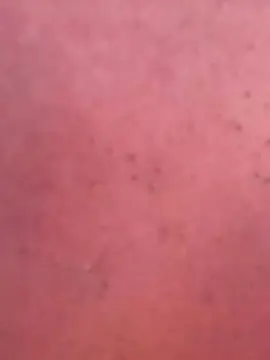 Cam4 Live Sex Cam of Loomshab6