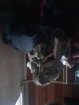 Cam4 Adult Webcam of Ares300