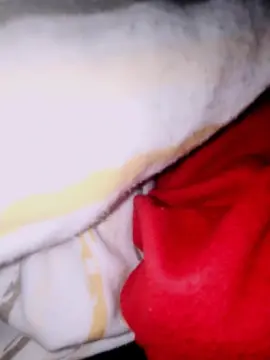 Cam4 Private Sex Chat of coppiax8