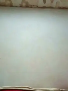 Cam4 Live Sex Cam of lobotomia244