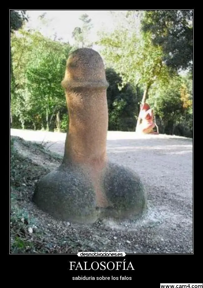 donosss