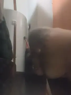 Cam4 Live Sex of gardinho00