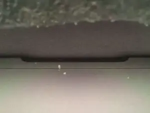 Cam4 Nude Webcam of robkn78