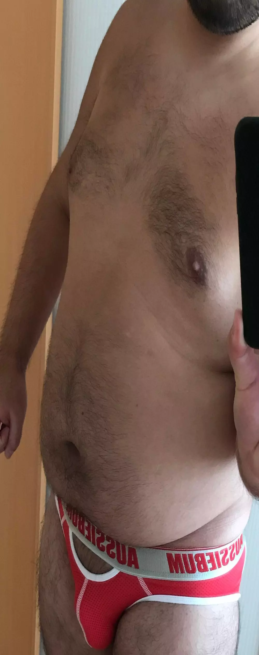 north00bear