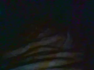 Cam4 Free Live Porn of MoglieBirichina