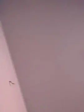 Cam4 Adult Webcams of tedy2022