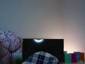 Cam4 Free Live Porn of HwaWisterman