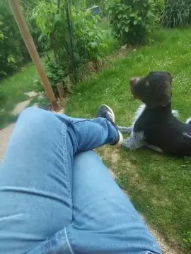 Cam4 Watch Live Sex Cams of tomsauwer