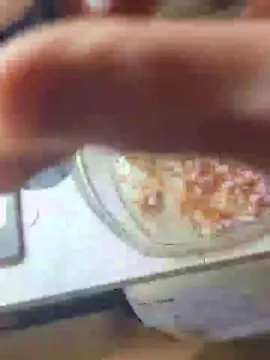 Cam4 Free Live Porn of tomsauwer