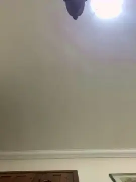 Cam4 Best Webcam of ryan2028