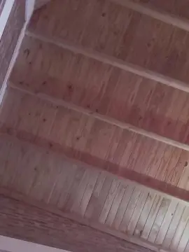 Cam4 Live Sex Cam of Pito218