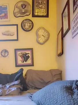 Cam4 Adult Webcam of alicepractice5