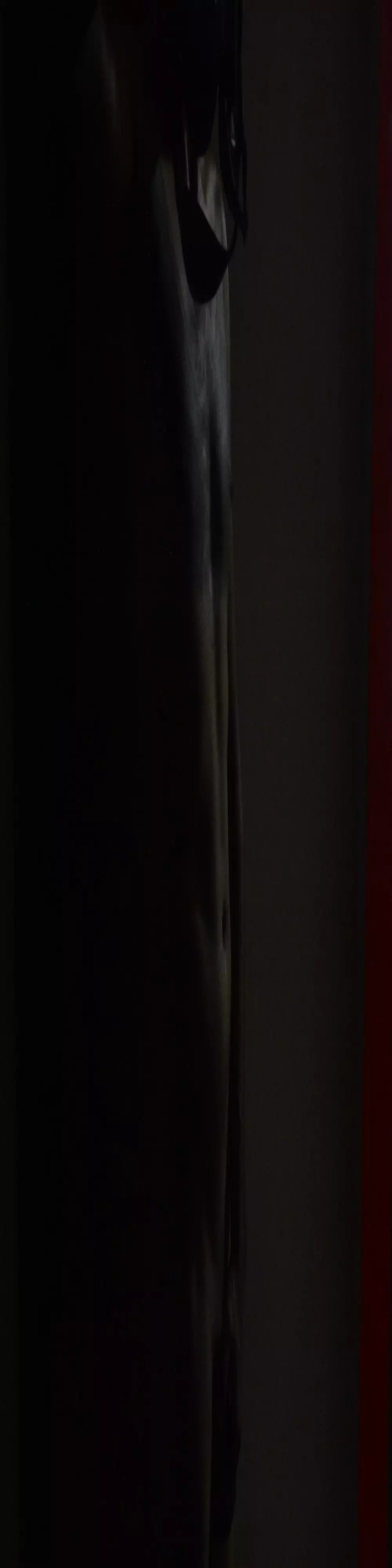 blackdicky1