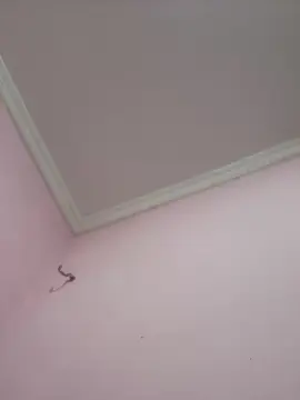 Cam4 Nude Webcam of novinho1978