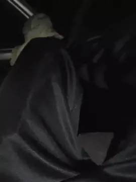 Cam4 Live Porn of PauzudaoMG