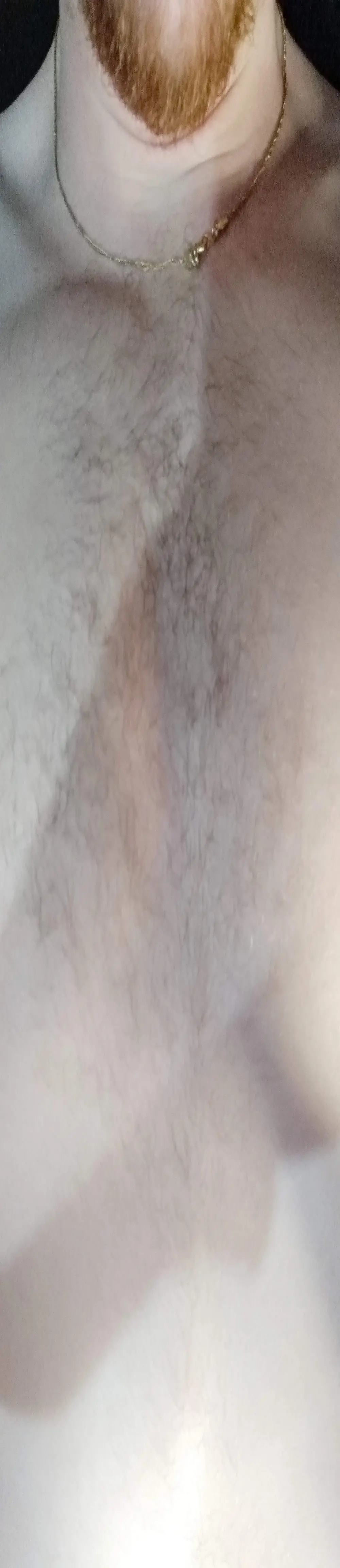 Ruivobruxo