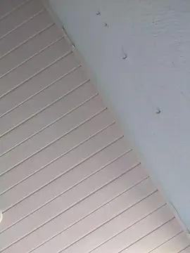 Cam4 Sex Chat of ademilsonpr1