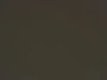 Cam4 Sex Cam of andy4fun4