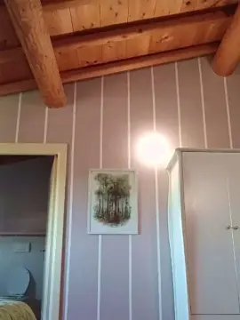 Cam4 Adult Video Chat of minuzzo61