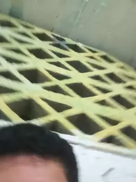 Cam4 Nude Webcam of Rashoasesino