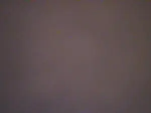 Cam4 Best Webcam of luclovestops