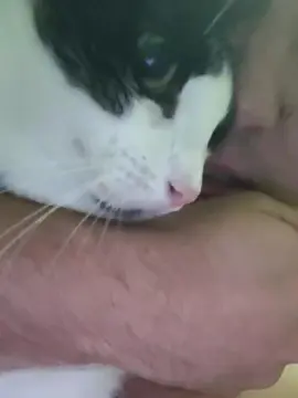 Cam4 Free Live Porn of Omiranhaaaa