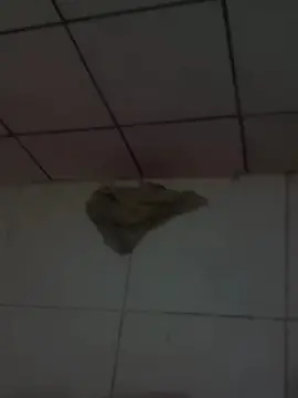 Cam4 Sex Cam of PretoDot1