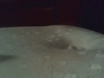 Cam4 Best live sex cam show of boyforyou_xxx