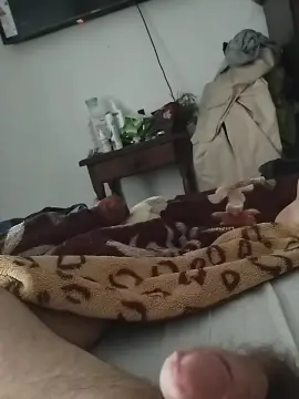 Cam4 Adult Webcams of Javito096