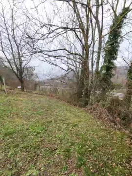 Cam4 Sex Chat of Legtiste