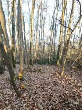 Cam4 Watch Live Sex Cams of Legtiste