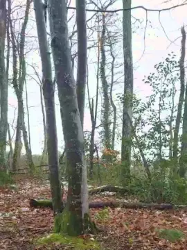 Cam4 Adult Webcams of Legtiste