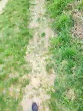 Cam4 Watch Live Sex Cams of Legtiste